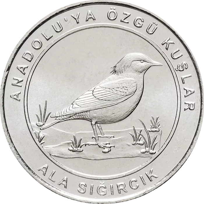 Ala Sığırcık
